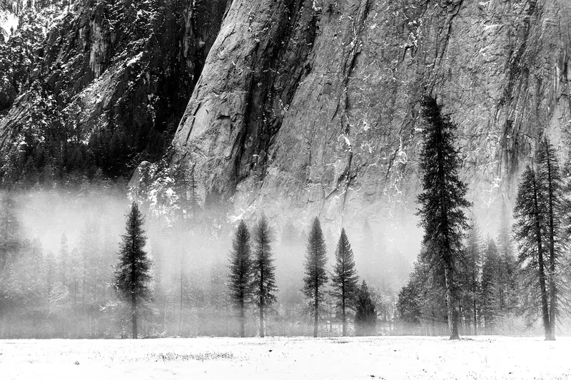 California - Yosemite Park